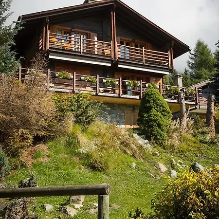 Summit Combles Apartment Verbier
